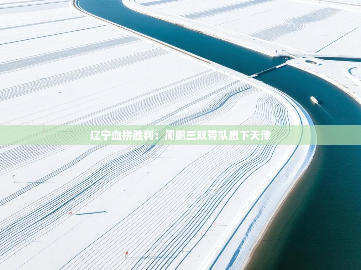 辽宁血拼胜利：周鹏三双带队赢下天津  第1张