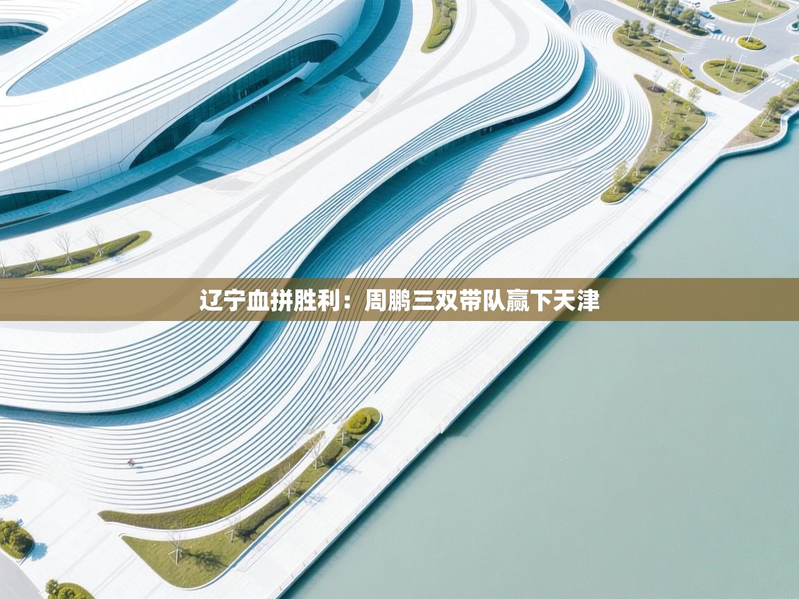 辽宁血拼胜利：周鹏三双带队赢下天津  第2张