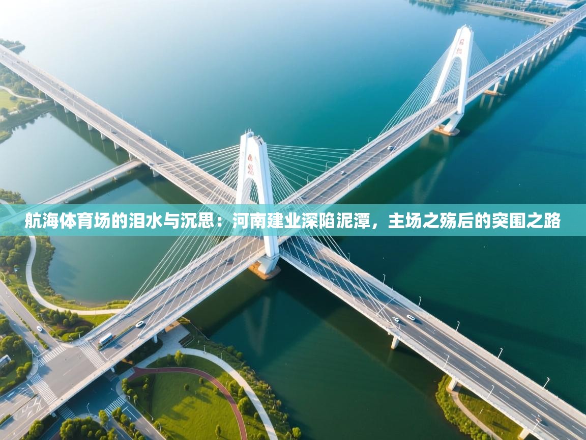 航海体育场的泪水与沉思：河南建业深陷泥潭，主场之殇后的突围之路  第1张