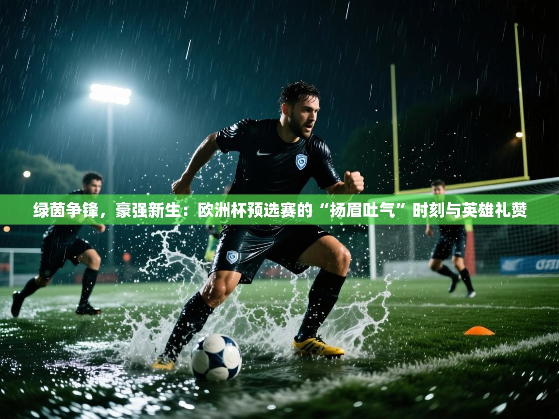 绿茵争锋，豪强新生：欧洲杯预选赛的“扬眉吐气”时刻与英雄礼赞  第1张