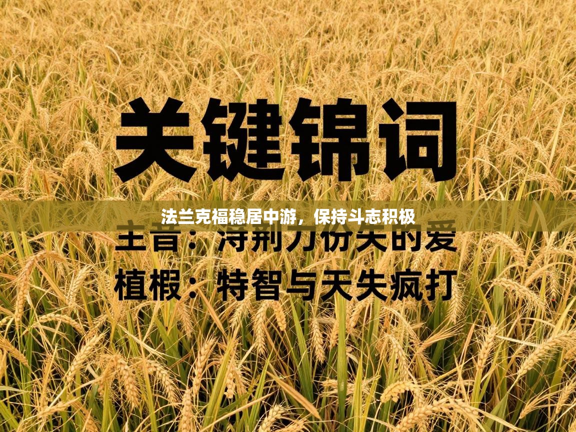 法兰克福稳居中游，保持斗志积极